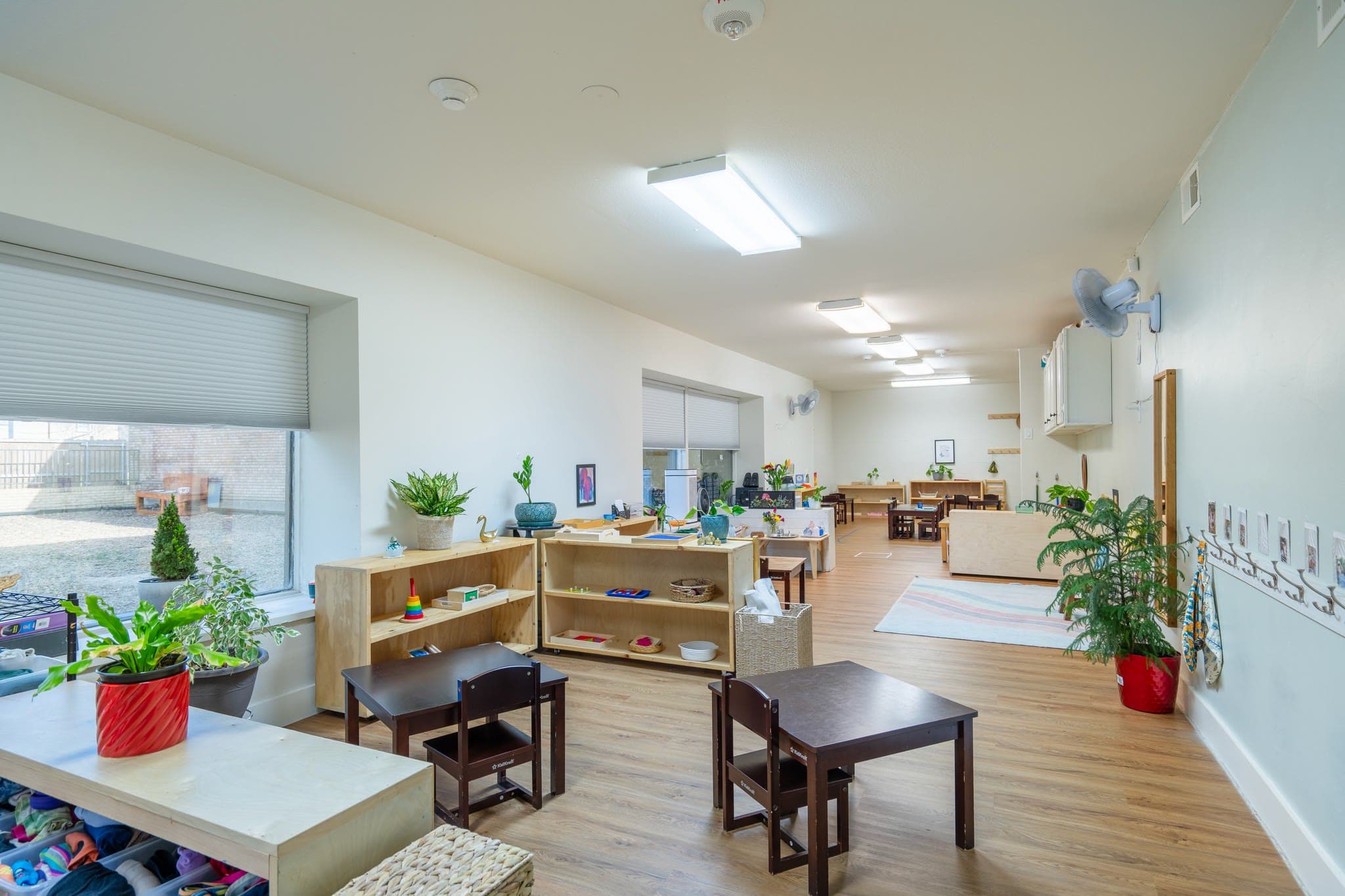 A calm classroom with low shelves, potted plants, and small work tables