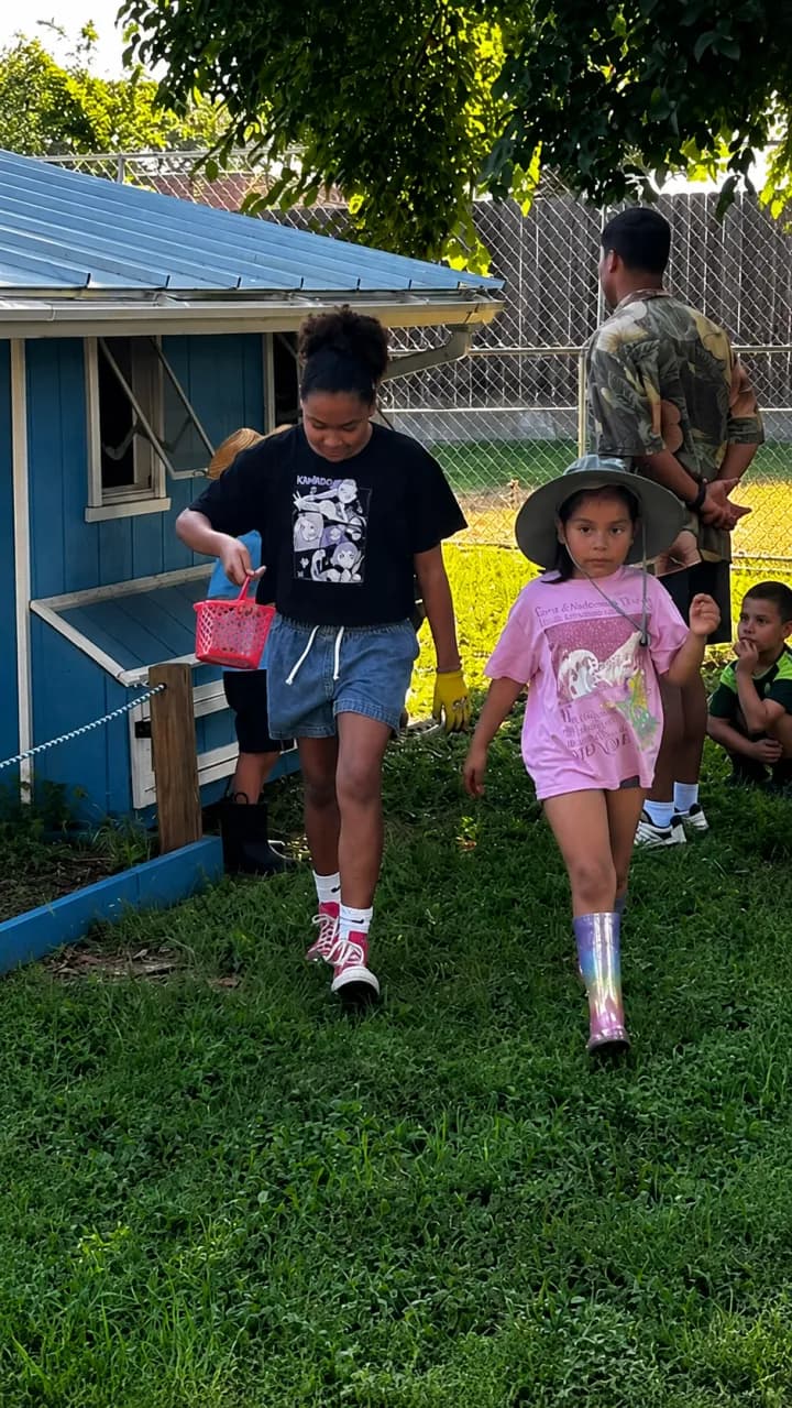Two children walking back from the chicken coop on a sunny morning
