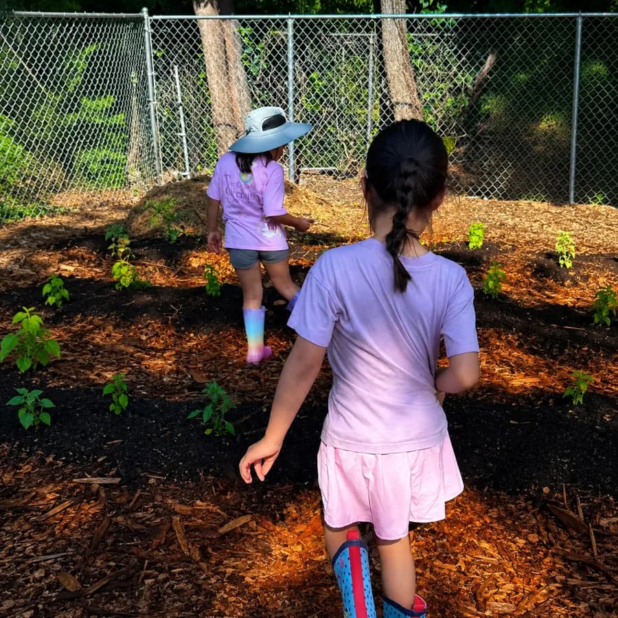 A child walking a path through the freshly mulched garden beds