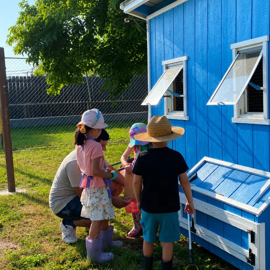 A teacher and children visiting the chickens together